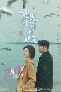 遇见不同的遇见 (2026)