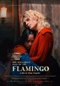 弗拉明戈的神秘眼神 La misteriosa mirada del flamenco (2025)